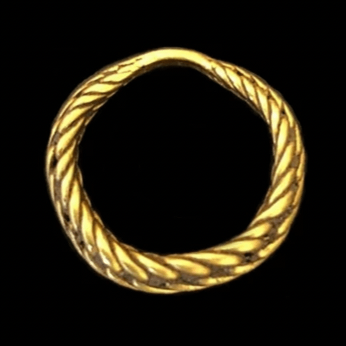 A metal-detector hobbyist found this gold ring from the Viking Age in Southern Norway in 2019.